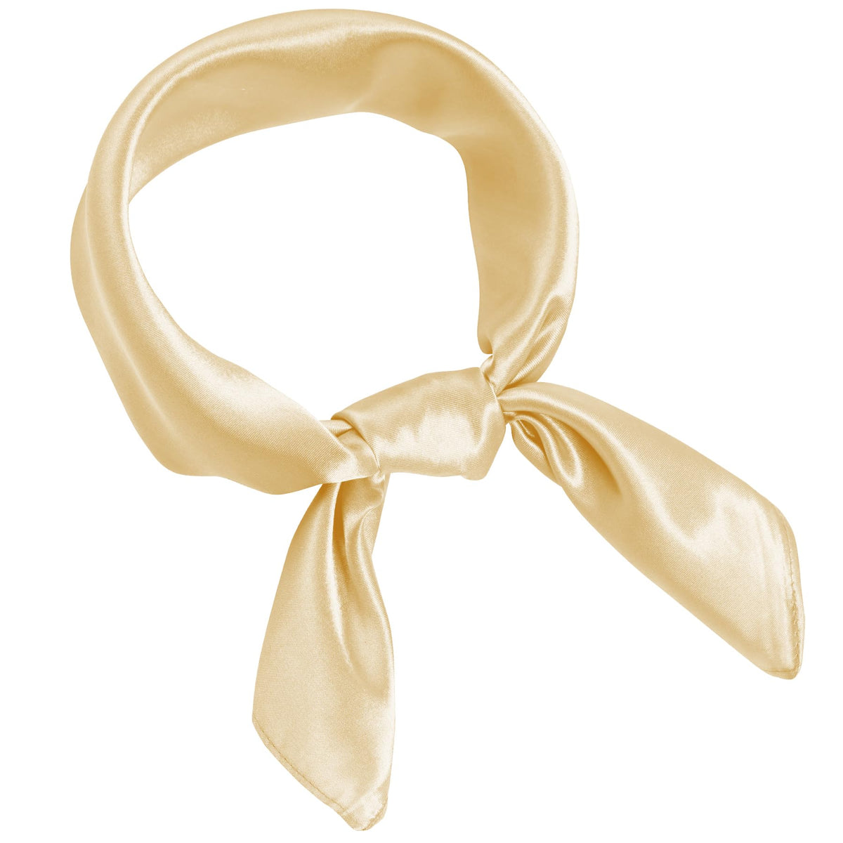 Pistha Chiffon Scarf Square Satin Neck Scarf Handkerchief 23.6 inch