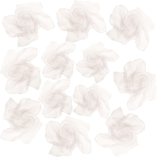 Lolakee Dance Scarves 12 Pcs Juggling Scarves for Kids Play Silk Scarve for Babies Toddlers Children Movement Learning Education Musical Accessories Colorful Scarfs Magic Tricks Performance(White)